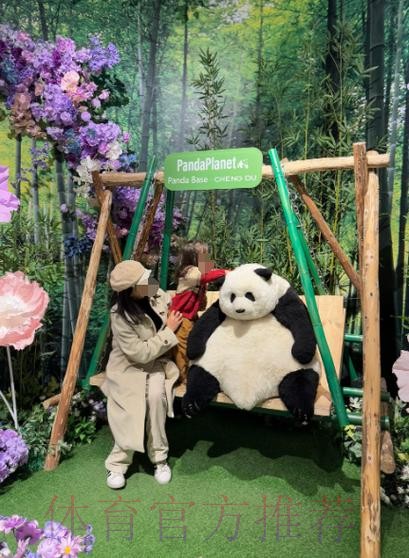 《熊猫说球》第二十三集：规则的精神和调整